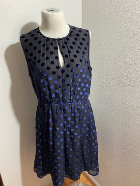 J. Crew Black Midi Dress with Royal Blue Velvet Polka Dots Silk blend